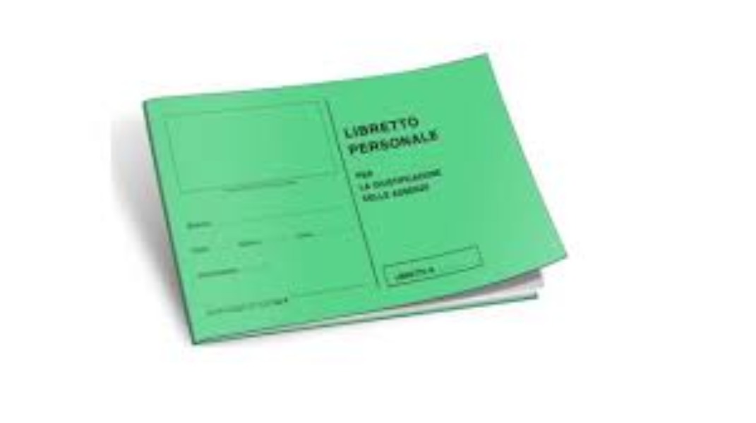 Scuola Secondaria di I Grado - Libretti giustifiche